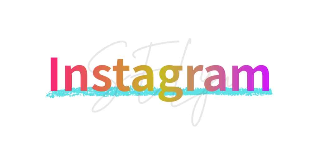 インスタグラム　Instagram 株式会社SELyu